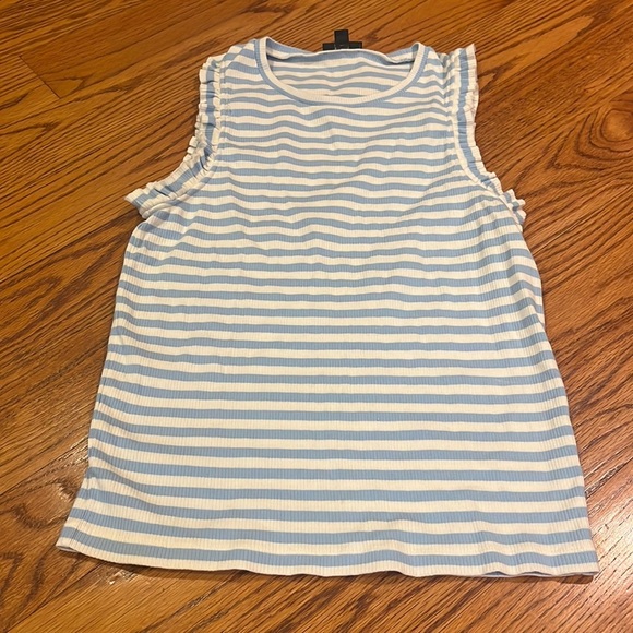 J.Crew Woman’s Blue Striped Sleeveless Tank Size L - Picture 1 of 4